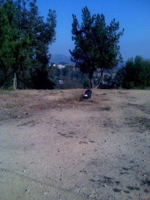 Cdj2qlae423dwq6q7jpqi5lg_500