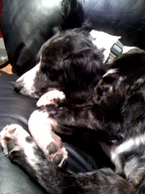 Cdj2qlae42abbplcaf3wdgni_500