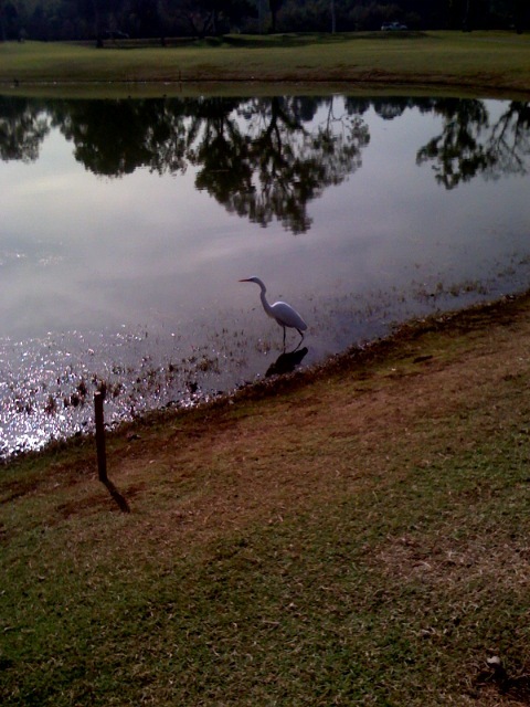 Cdj2qlae431zz9wftlsqpdlf_500