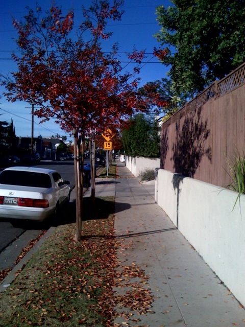 Cdj2qlae438j18koyie1sezm_500