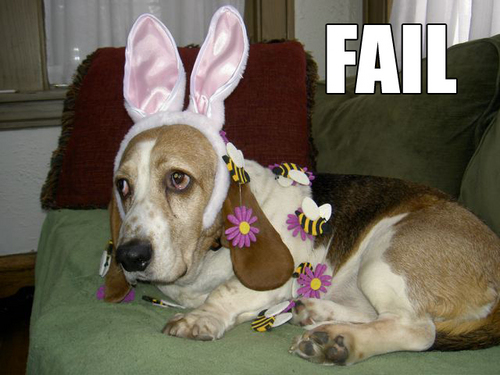 Zctqhik8c6xp871hnokiyyi3_500