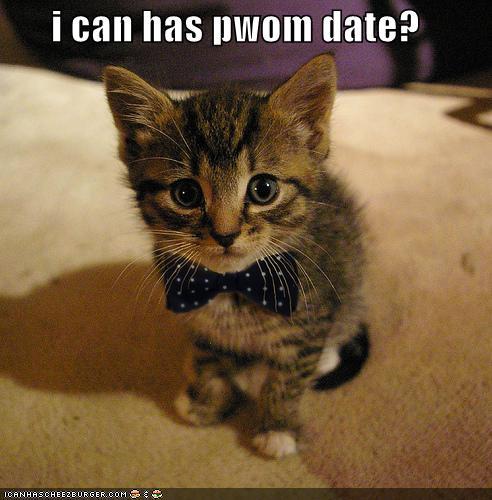 Cdj2qlae4gbeu3y7tumm4ueoo1_500