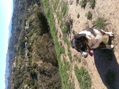 Cdj2qlae4ivmnzp9kow0p38ho1_1280