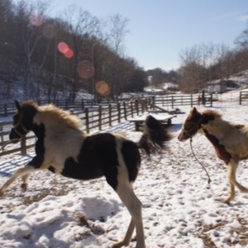 Media_httpdistillerys_jdroi