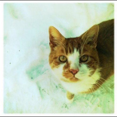 Media_httpdistillerys_mffed