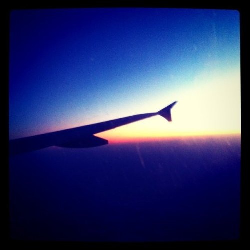 Media_httpdistillerys_mojcd