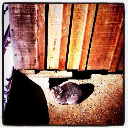 Media_httpdistillerys_qkvag