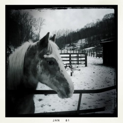 Media_httpdistillerys_rgaec