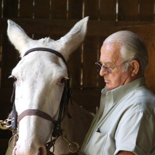 Media_httpdistillerys_gefjq