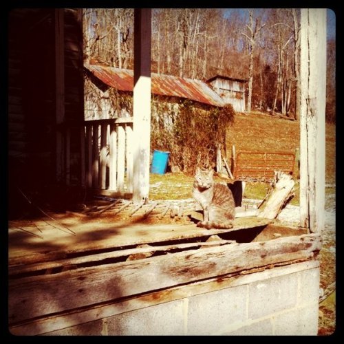 Media_httpdistillerys_mimae