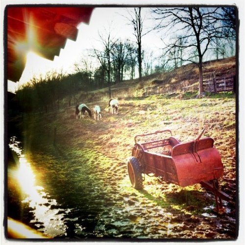 Media_httpdistillerys_ucicp