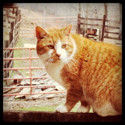 Media_httpdistillerys_dbyeb