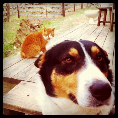 Media_httpdistillerys_ebhjd