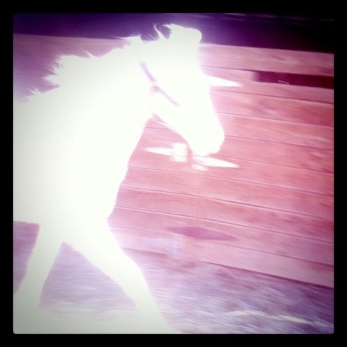 Media_httpdistillerys_ehrvv