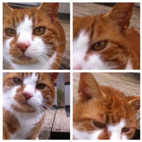 Media_httpdistillerys_fyuhh