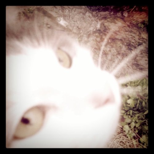 Media_httpdistillerys_iatwf