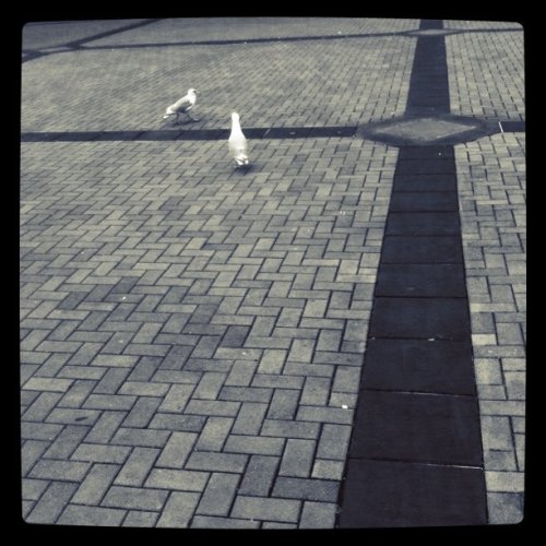 Media_httpdistillerys_igzda