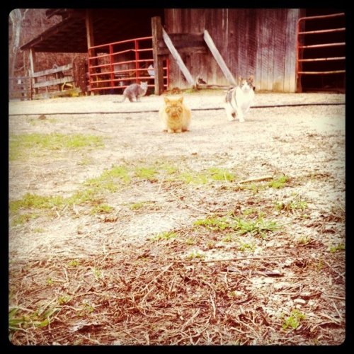 Media_httpdistillerys_qchbg