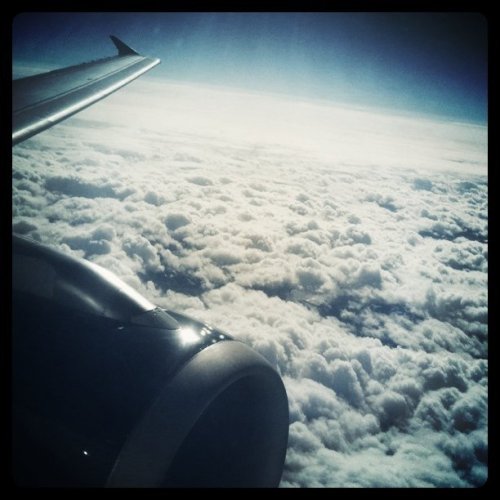 Media_httpdistillerys_rdtrr