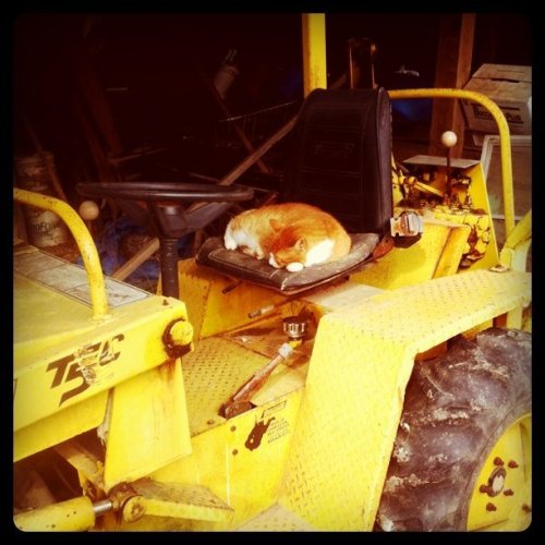 Media_httpimagesinsta_fpfdb