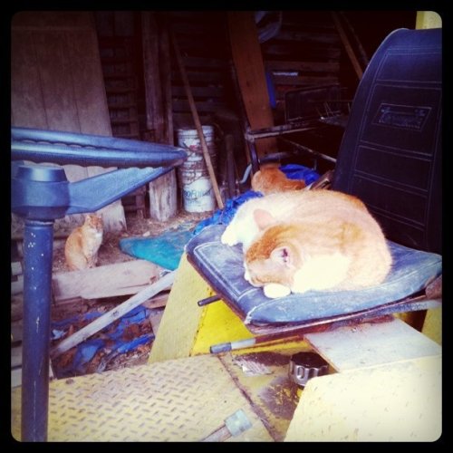 Media_httpimagesinsta_jdzfz