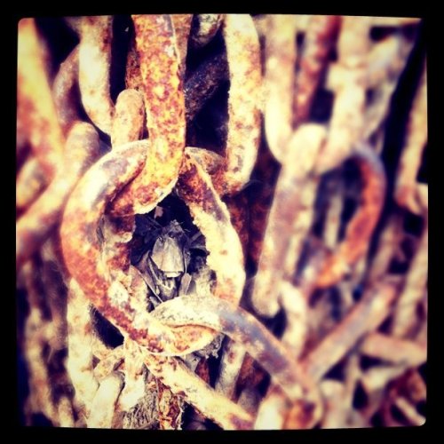 Media_httpimagesinsta_tygcr