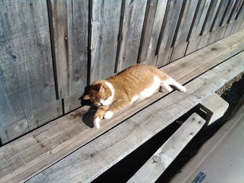 Media_https2i1picplzt_wpqxy