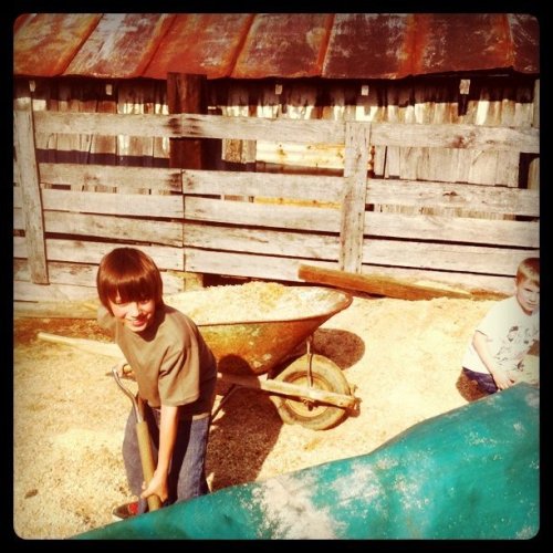 Media_httpimagesinsta_ajdaq