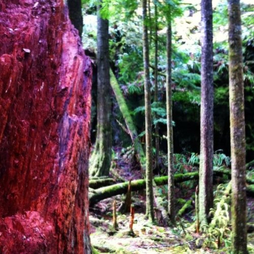 Media_httpimagesinsta_qvflj