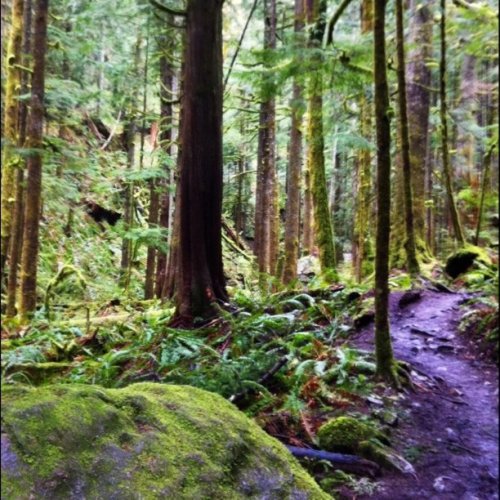 Media_httpimagesinsta_wpeya