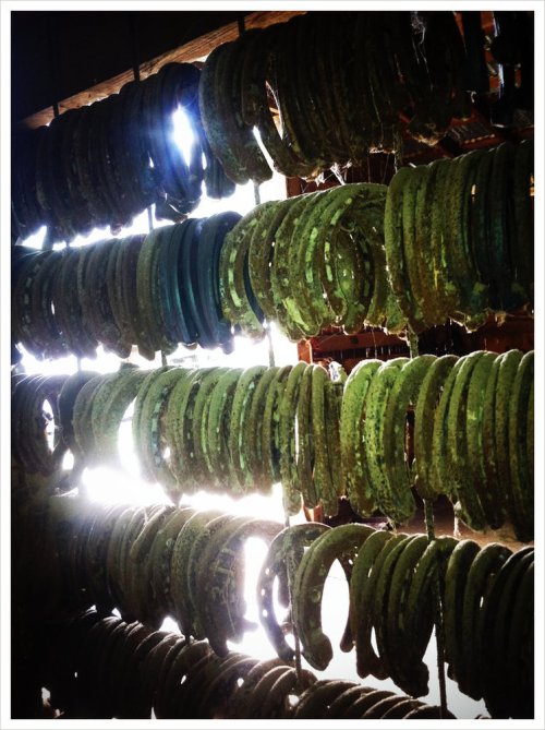 Media_https0i1picplzt_avcbk