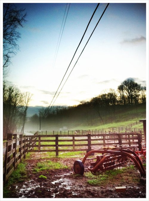 Media_https0i1picplzt_hohej