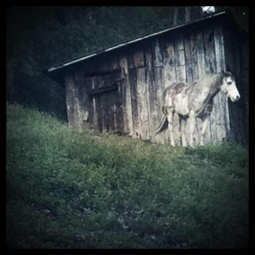 Media_httpimagesinsta_ixlxb