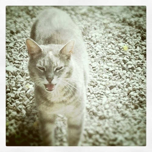 Media_httpimagesinsta_zvcaz