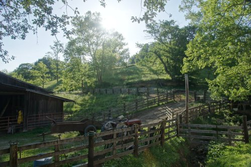 Media_https2i1picplzt_rbbsb