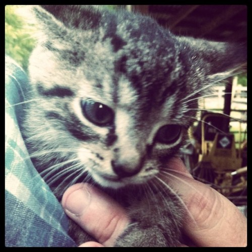 Media_httpimagesinsta_arfgg