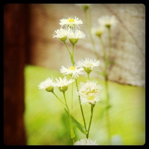 Media_httpimagesinsta_fvdmr